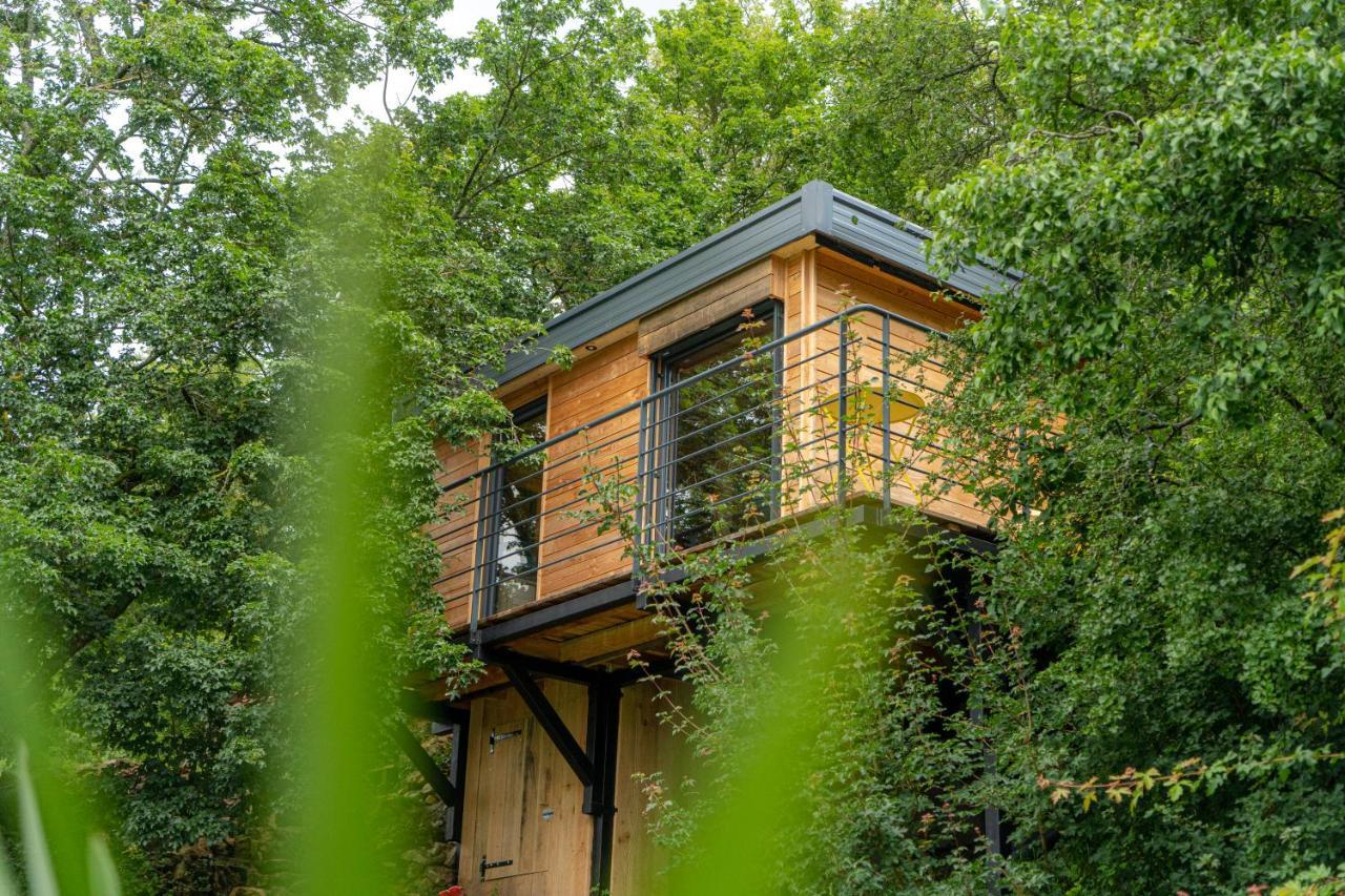 Le Moonloft Insolite Tiny-House Dans Les Arbres & 1 Seance De Sauna Pour 2 Avec Vue Panoramique Osenbach Luaran gambar