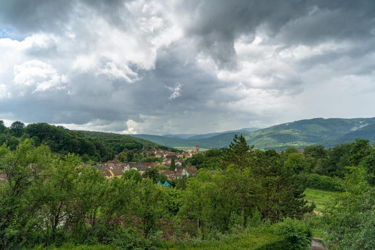 Le Moonloft Insolite Tiny-House Dans Les Arbres & 1 Seance De Sauna Pour 2 Avec Vue Panoramique Osenbach Luaran gambar